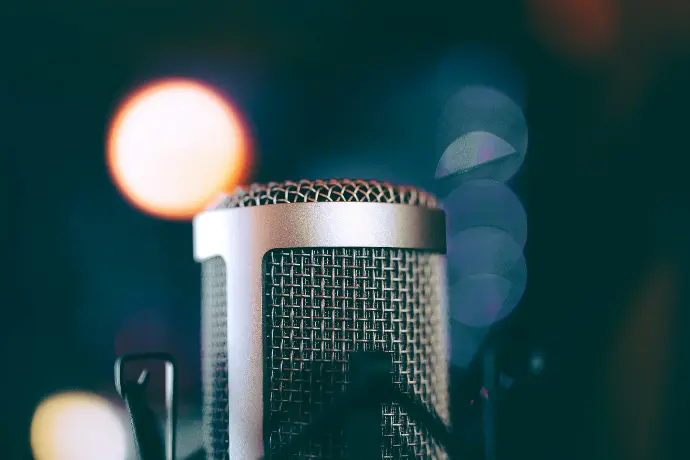 grey microphone